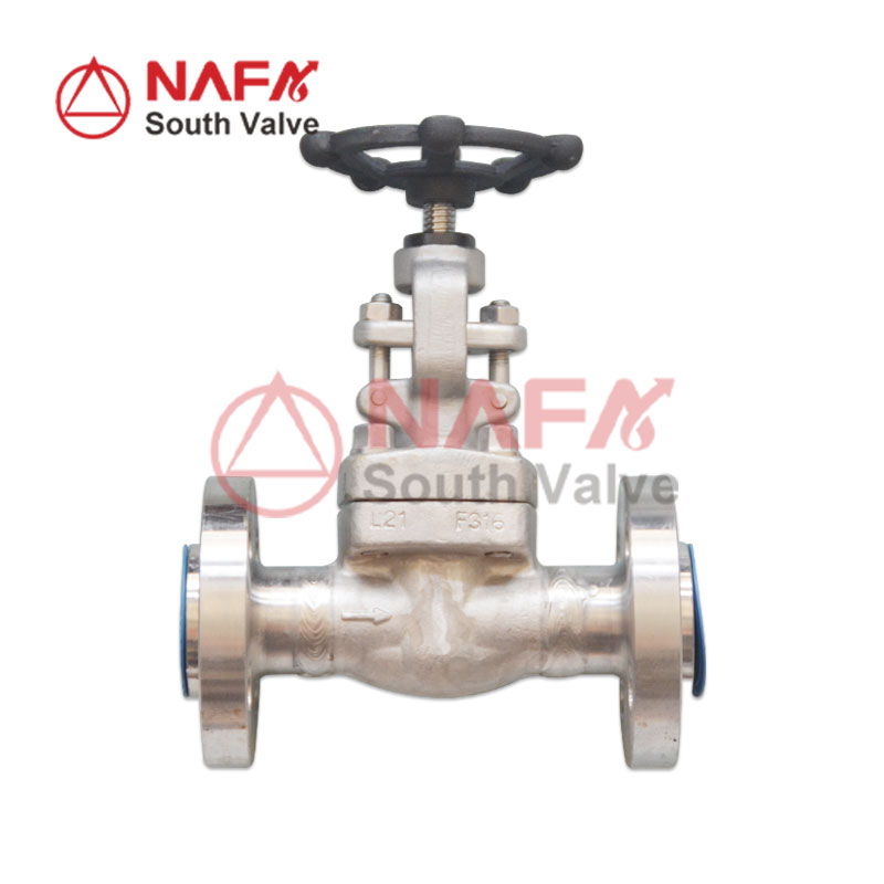 Forged Globe Valve