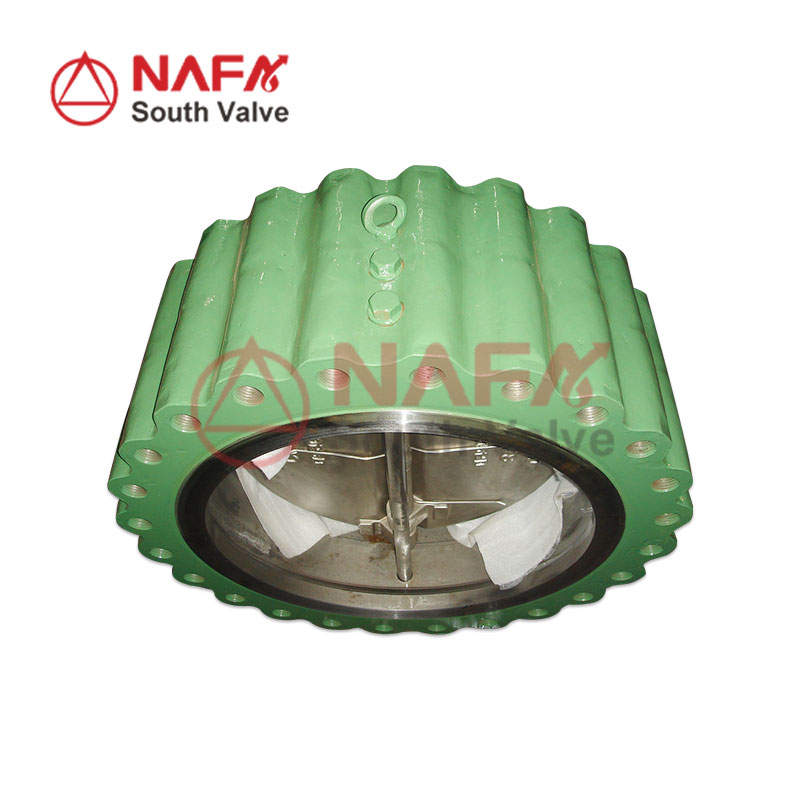 Dual Plate Check Valve